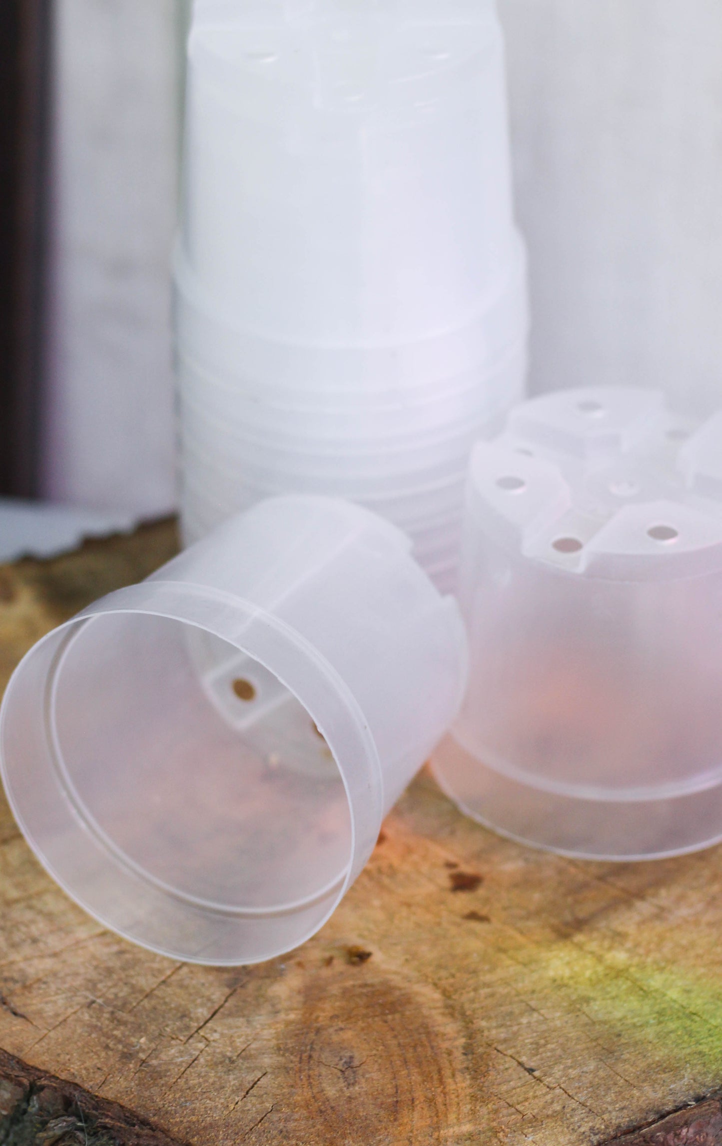 Clear Nursery Pots