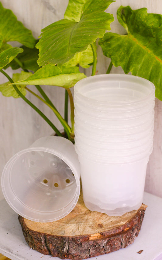 Clear Nursery Pots