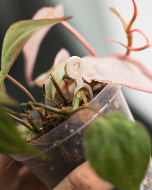 Prop Pins