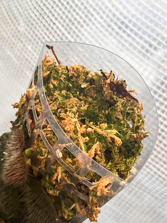 Sphagnum Moss 8l