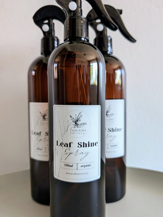 Leaf Shine 500ml