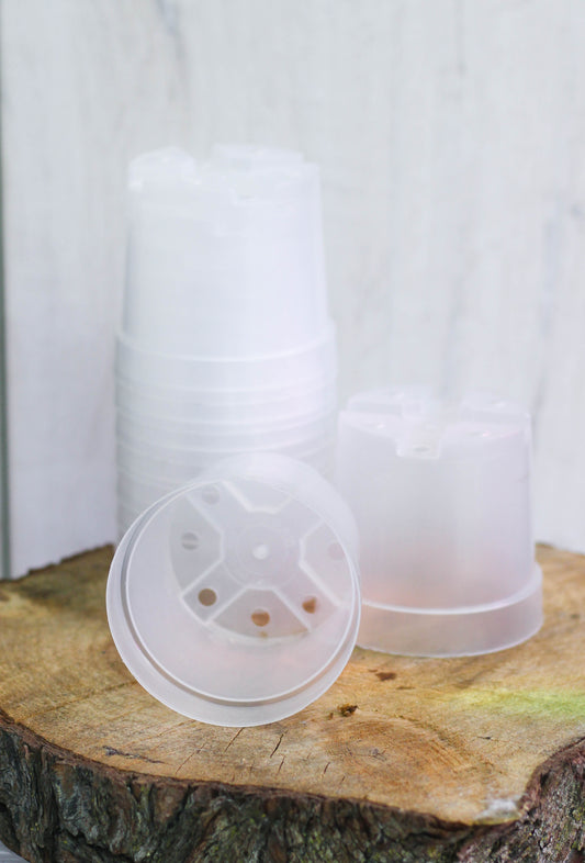 Clear Nursery Pots
