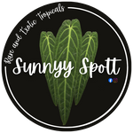 Sunnyy.Spott